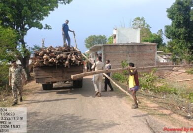 गौरेला क्षेत्र में सागौन की अवैध कटाई पर वन विभाग की बड़ी कार्रवाई
