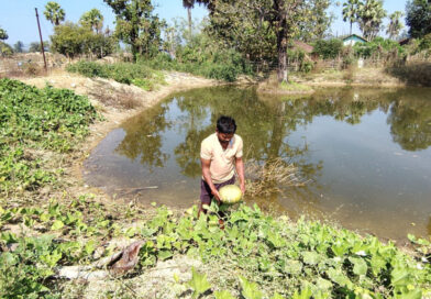 डबरी से समृद्धि : मत्स्य पालन और सब्जी उत्पादन से आत्मनिर्भर बने किसान वासम अब्बैया