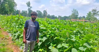 उद्यानिकी विभाग की योजना से बदली कमार कृषक की तकदीर