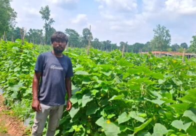 उद्यानिकी विभाग की योजना से बदली कमार कृषक की तकदीर