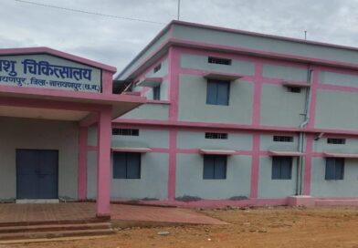 नारायणपुर का नया सवेरा: ईंट-गारे के भवनों से लिखी जा रही ग्रामीण सशक्तिकरण की नई इबारत नारायणपुर का नया सवेरा: ईंट-गारे के भवनों से लिखी जा रही ग्रामीण सशक्तिकरण की नई इबारत