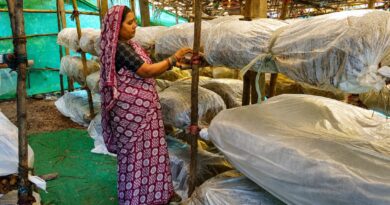 मुख्यमंत्री विष्णुदेव साय के नेतृत्व में ग्रामीण महिलाओं की आत्मनिर्भरता को मिल रही नई उड़ान मुख्यमंत्री विष्णुदेव साय के नेतृत्व में ग्रामीण महिलाओं की आत्मनिर्भरता को मिल रही नई उड़ान