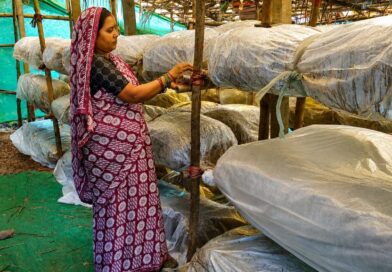 मुख्यमंत्री विष्णुदेव साय के नेतृत्व में ग्रामीण महिलाओं की आत्मनिर्भरता को मिल रही नई उड़ान मुख्यमंत्री विष्णुदेव साय के नेतृत्व में ग्रामीण महिलाओं की आत्मनिर्भरता को मिल रही नई उड़ान