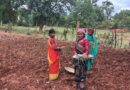 लेमन ग्रास की खुशबू से महक रही आत्मनिर्भरता, जीपीएम की महिलाएं बढ़ रहीं ‘लखपति दीदी’ बनने की राह पर